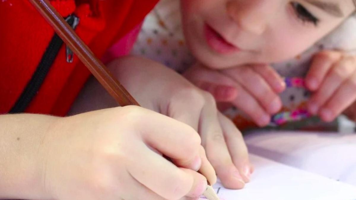 scoala_elevi_medic_scolar_arges_92968600