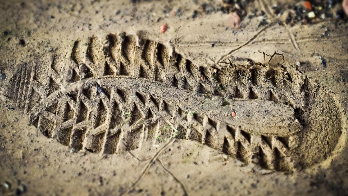 noroi_vale_brumadinho_brazilia_30410700