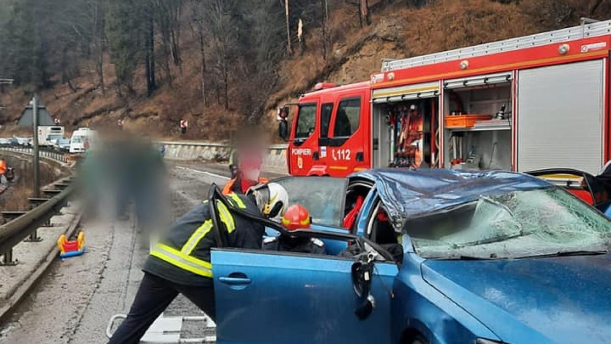 femeie-copac-isu-suceava_24597200