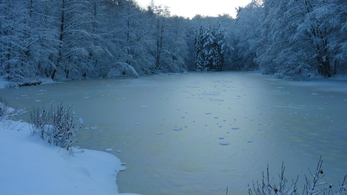 luptator-ofc-a-plonjat-apa-lac-si-a-spart-capul_04639800