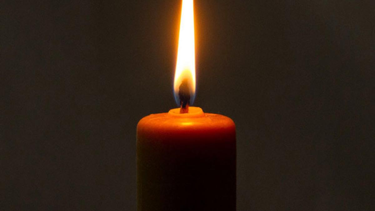 doliu-in-pnl_15457400