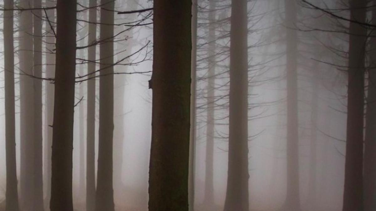 padure_barbat_gasit_mort_60899400