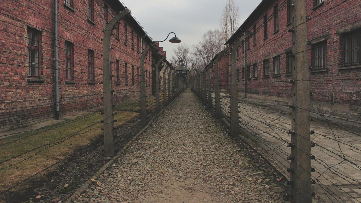 fost-gardian-de-lagar-nazist--invarsta-de-100-de-ani--complice-la-peste-3-500-de-crime_81846900