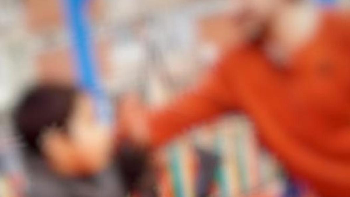 barbat-hunedoara-agresiv-violent-minor-parc_99794100