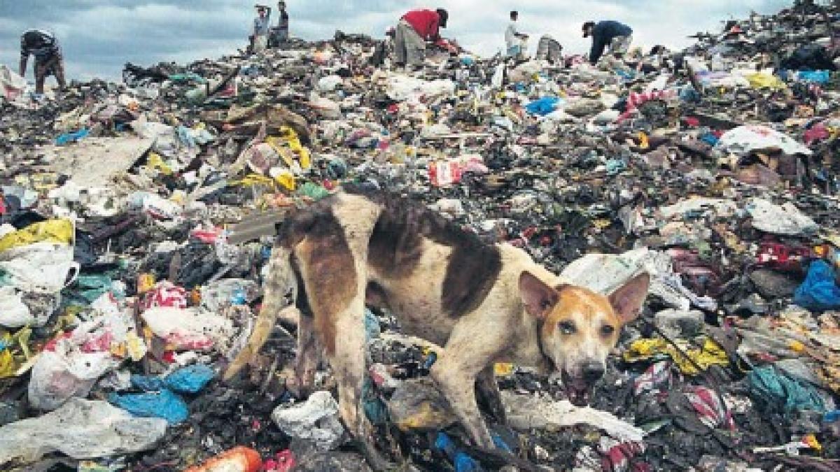 photo-2021-02-09-11-05-22_32037800