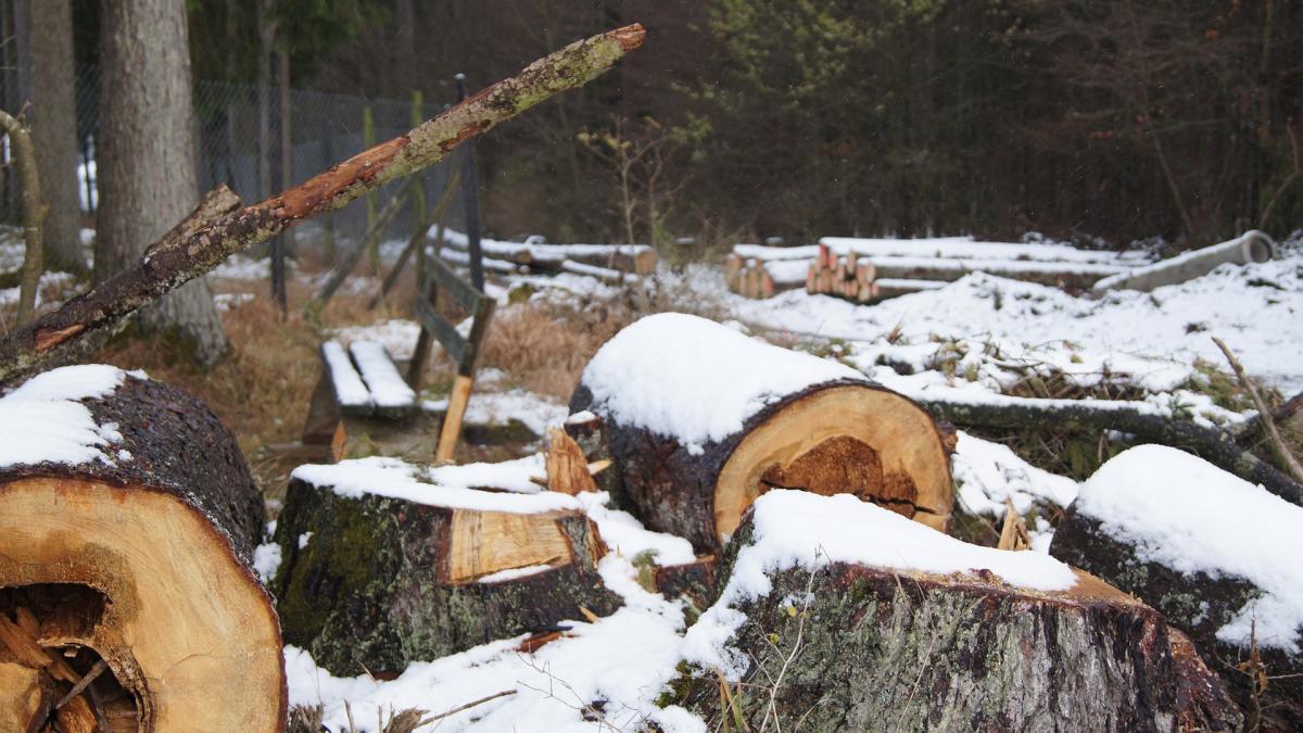 paprc-ccprc-86durar-luat-la-baprc-ccprc-86taie-iprc-ccprc-82ntr-o-comunaprc-ccprc-86-din-argesprc-ccprc-a6--agresorul--arestat-pentru-ultraj_70983400