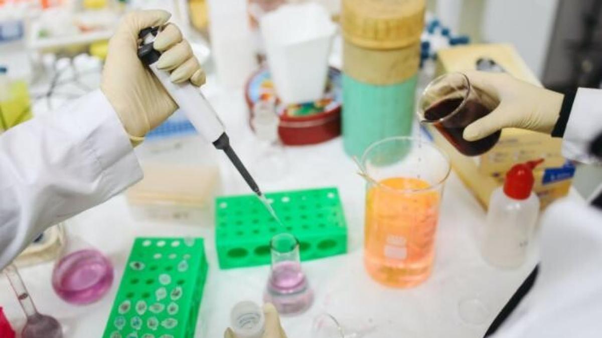 studiu_coronavirus_foto_pexels_29928100