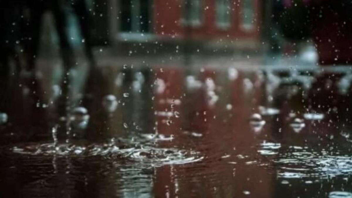 alina_serban_anm_ploaie_foto_pexels_64721200