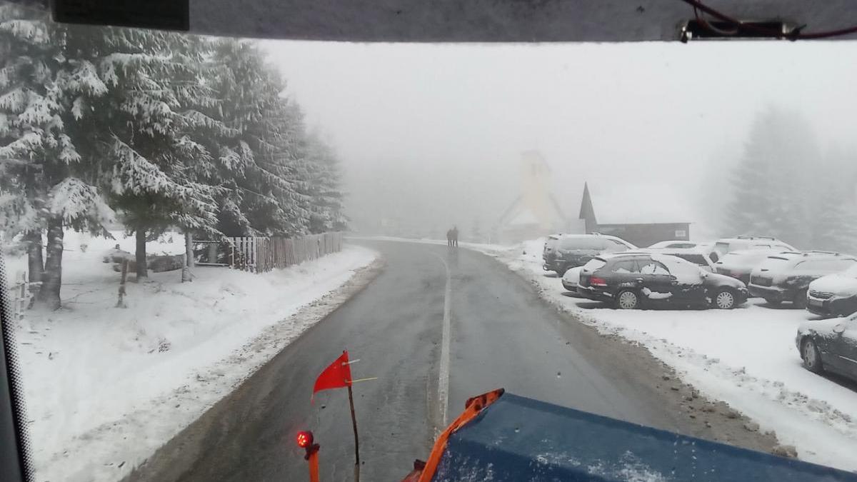 deszapezire_99152800