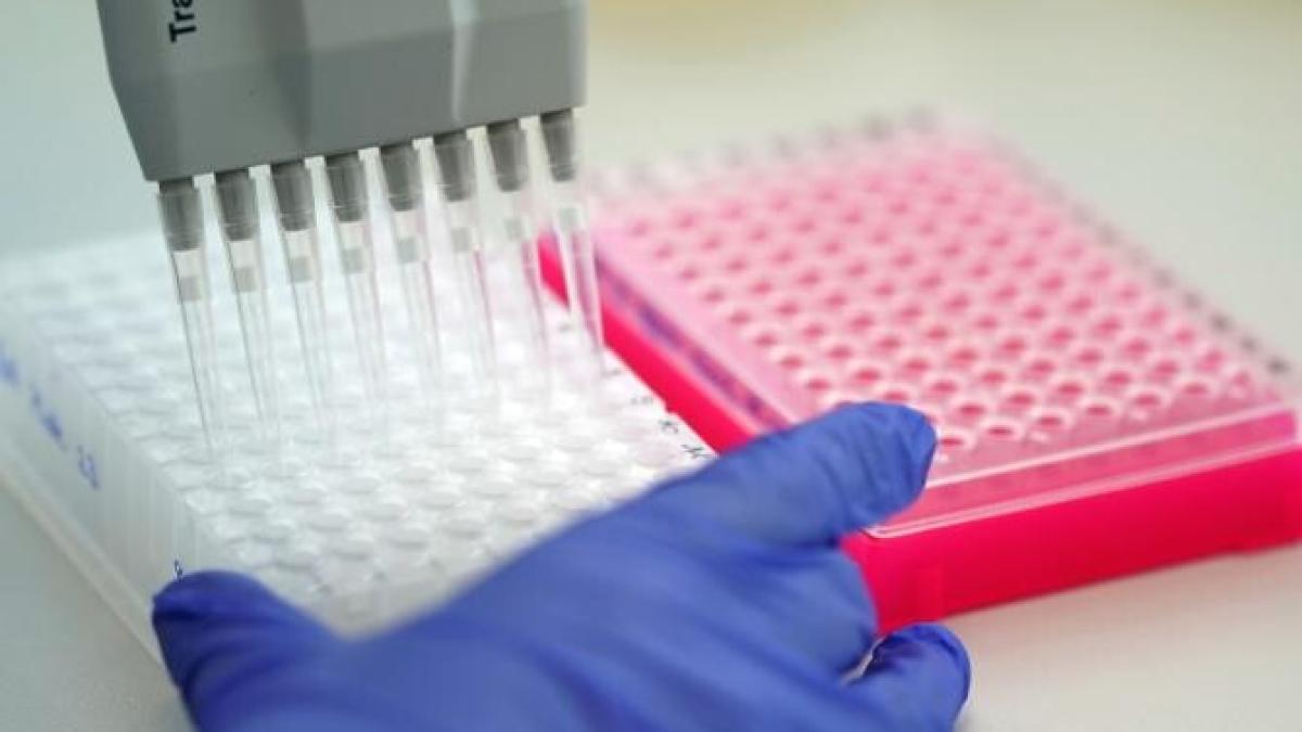 coronavirus_kent_varianta_covid-19_83509300