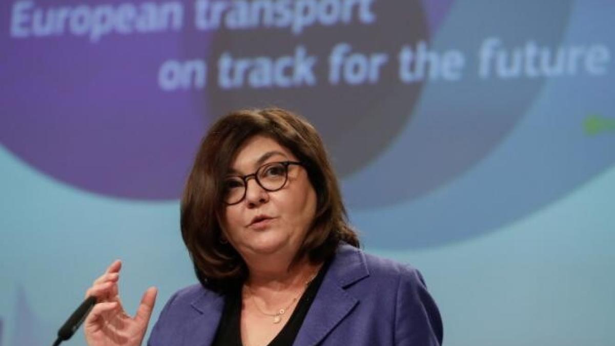 ce-experti-infrastructura-romania-gratuit-adina-valean_46549300