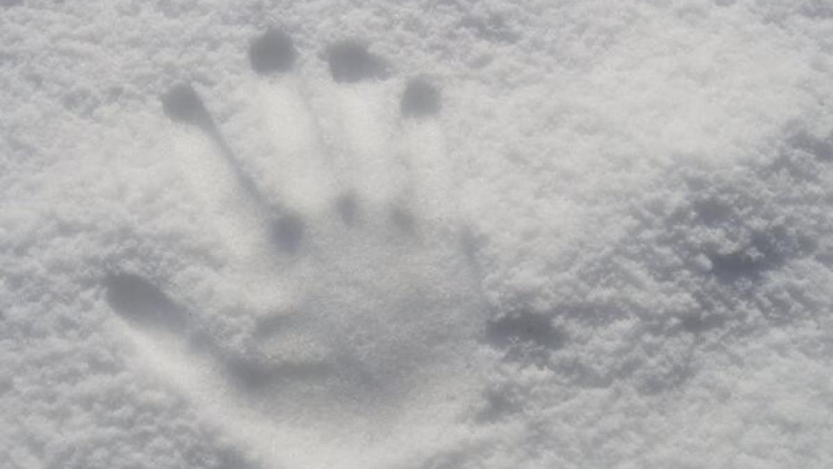 zapada_cfr_trenuri_foto_pexels_95843600