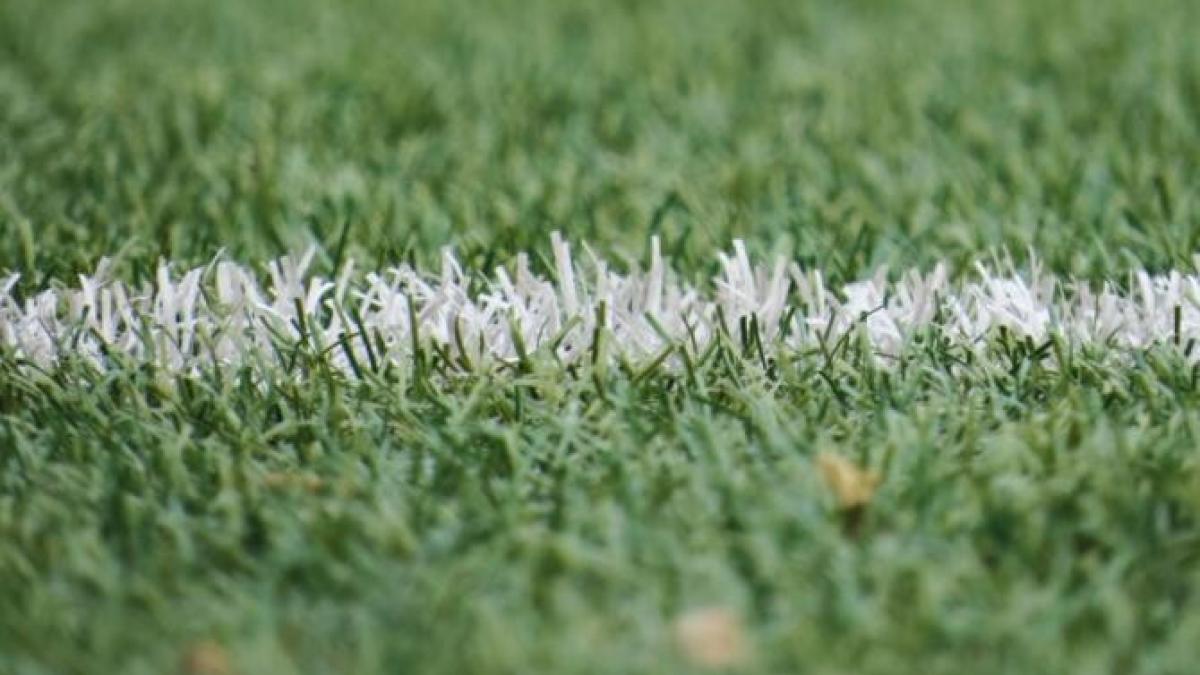 dinamo_fotbal_foto_pexels_81906100