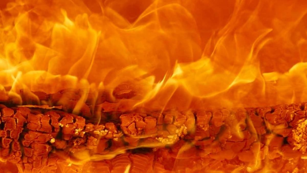 incendiu-la-o-gradinita-din-timisoara_18277900