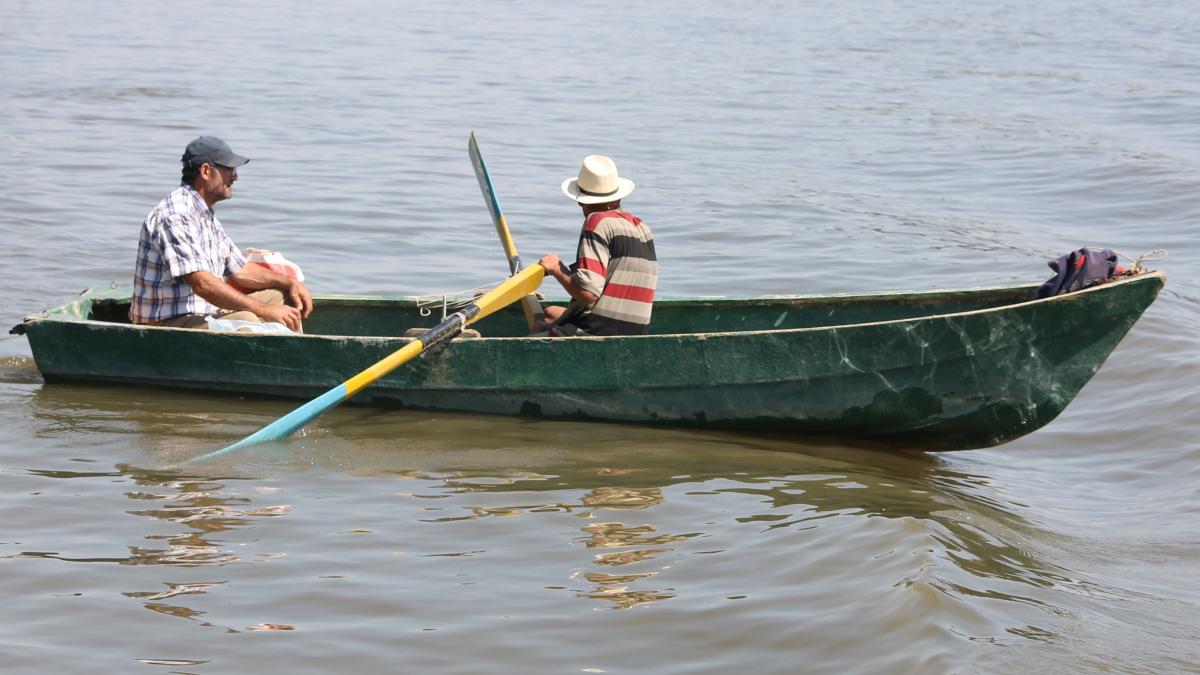 dunarea-pescari_82471400