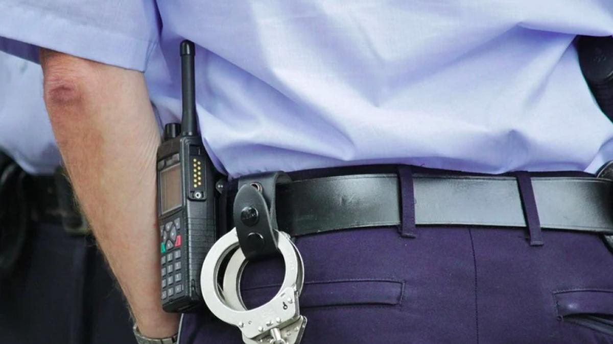 politie_catuse_arest_arges_camata_85836100