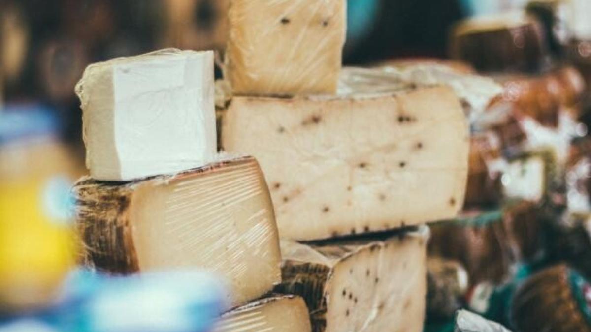 branza_retete_foto_pexels_30631700