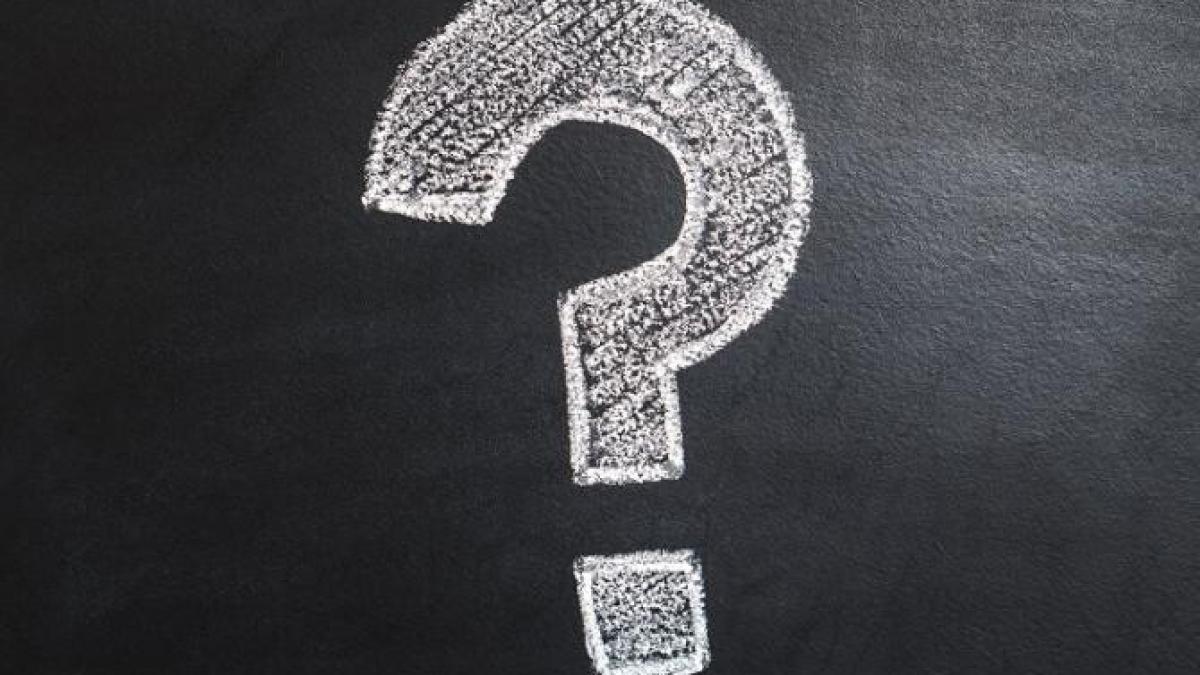 caini-albastri-si-roz--aparitia-misterioasa-care-a-uluit-autoritatile-unui-oras-din-rusia_66530700