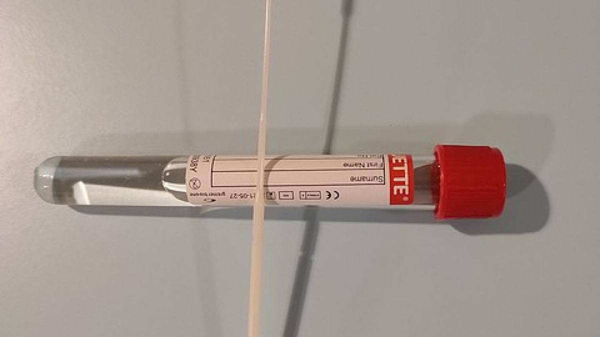 elevi-mihai-viteazul-colegiu-militar-test-pcr_00487200