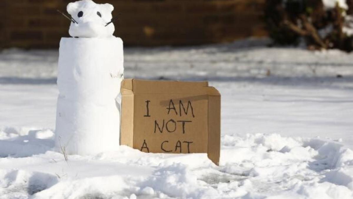 ger-sua-zapada-texas_01332000