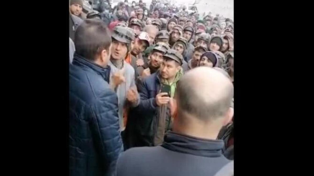 administrator_complex_energetic_demisia_36451300