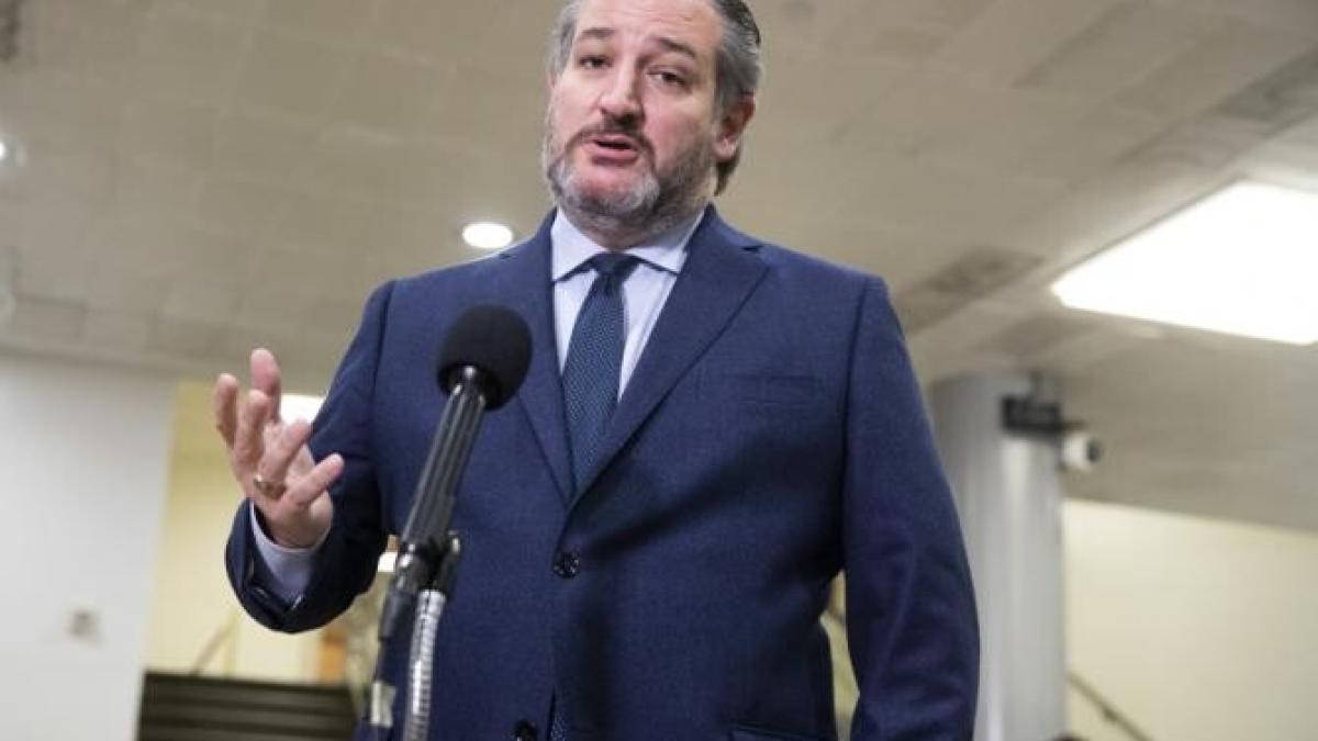 ted_cruz_sua_texas_frig_24332400