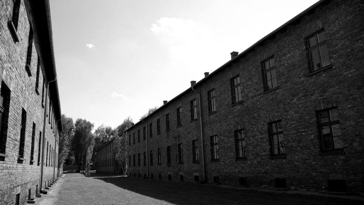 hitler--influentprc-ccprc-a6at-de-tataprc-ccprc-86l-saprc-ccprc-86u--scrisori-descoperite-iprc-ccprc-82ntr-o-mansardaprc-ccprc-86-din-austria_47638200