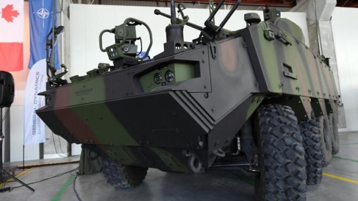 bugetul-mapn--2-04prc--din-pib_19879000