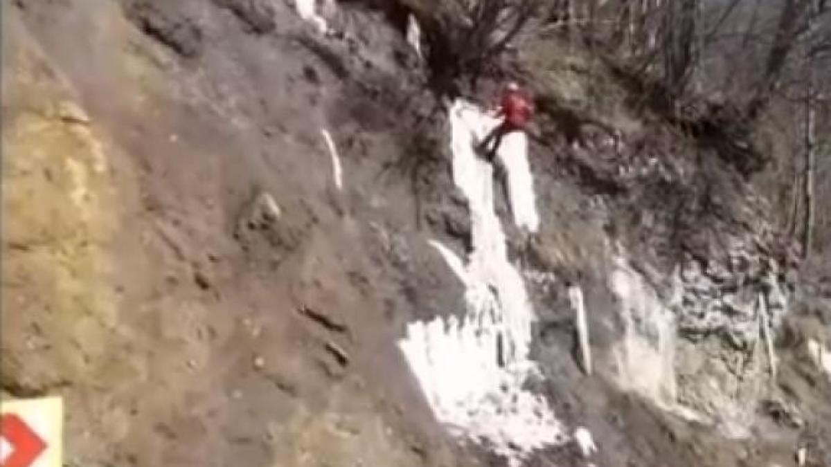 image_2021-02-22_150605_18996400