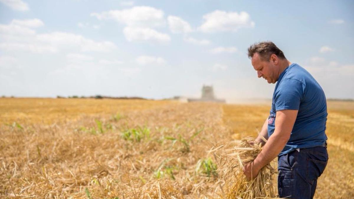 iliuta-vasile-presedintele-cj-calarasi_23003500