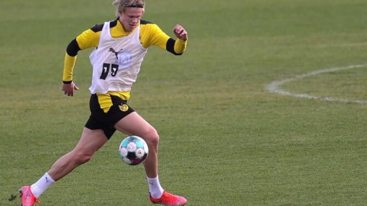 erling_haaland_vedeta_fotbal_sport_25430800