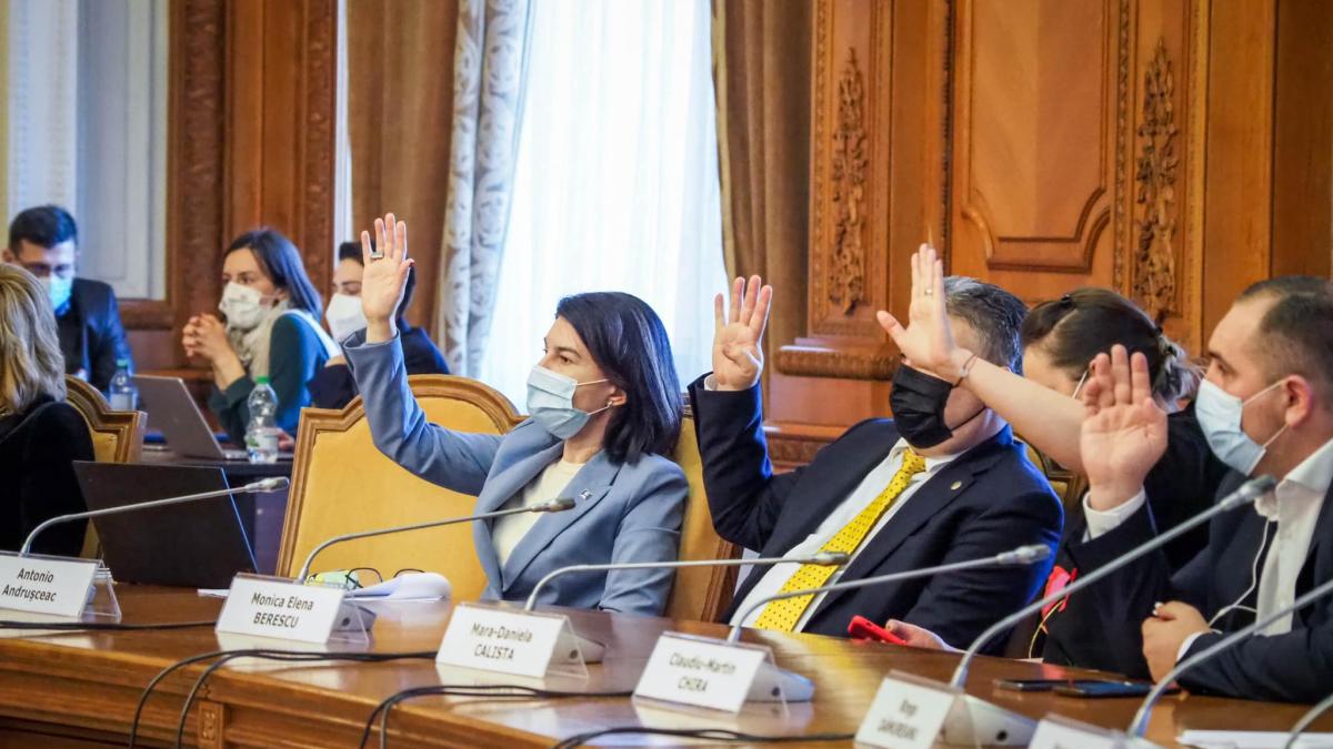 aviz-pozitiv-ministerul-munci-raluca-turcan_90165500