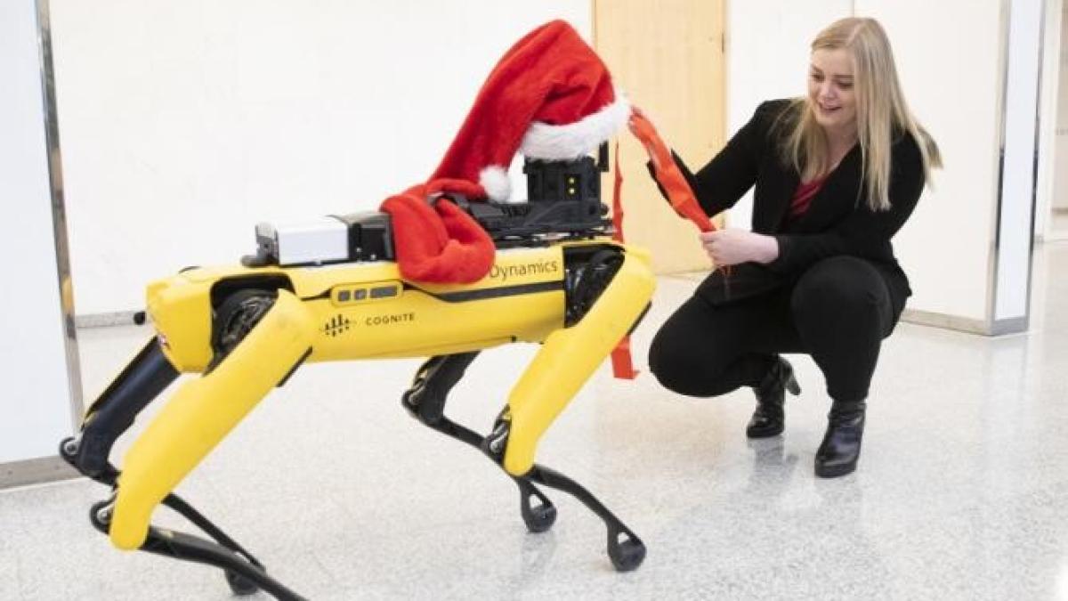 robotul_spot_viral_internet_18652700