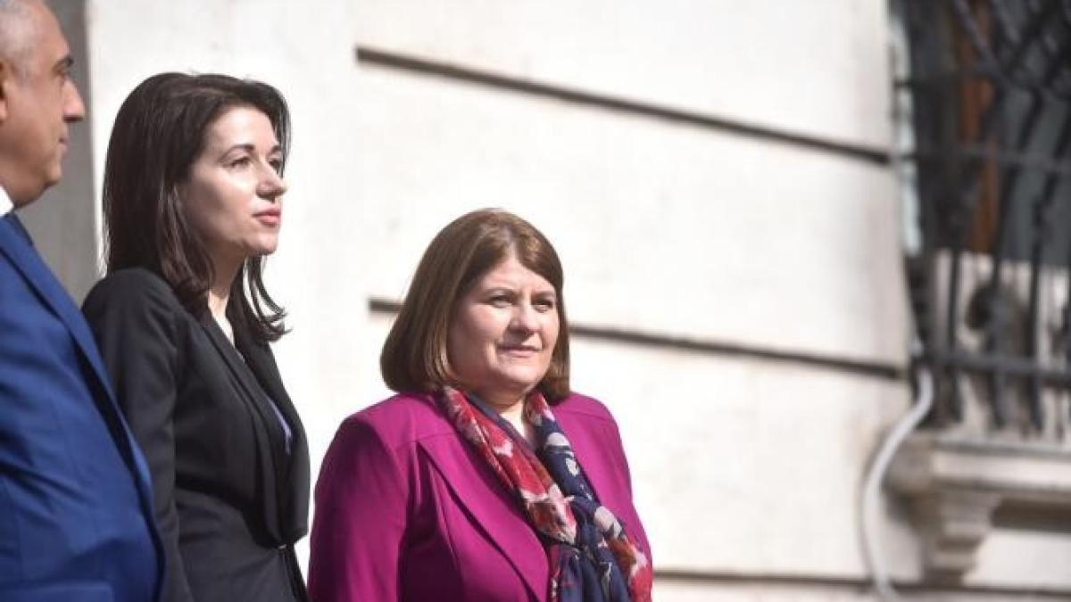 corina_corbu_iccj_buget_agerpres_61733500