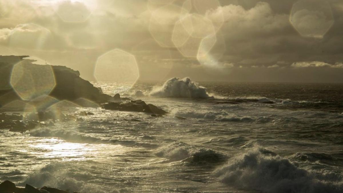 sydney_international_femeie_picior_84941800