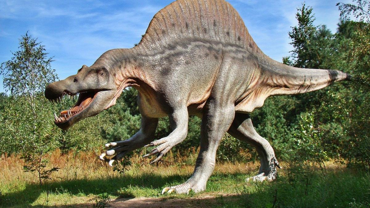 o-echipa-condusa-de-un-paleontolog-ungar-a-redescoperit-un-sit-al-dinozaurilor-in-transilvania-imagine-de-jerzy-gorecki-de-la-pixabay_18769200