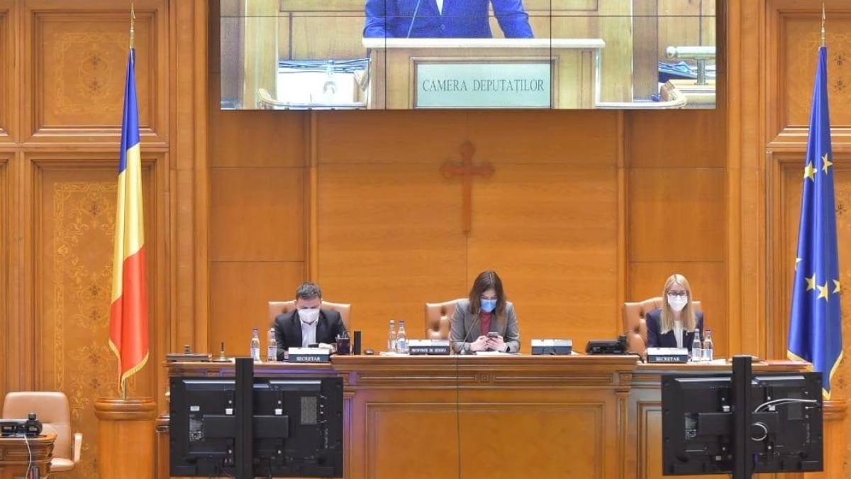 emanuel-ungureanu-rares-bogdan-pnl-usr-atac_56649000