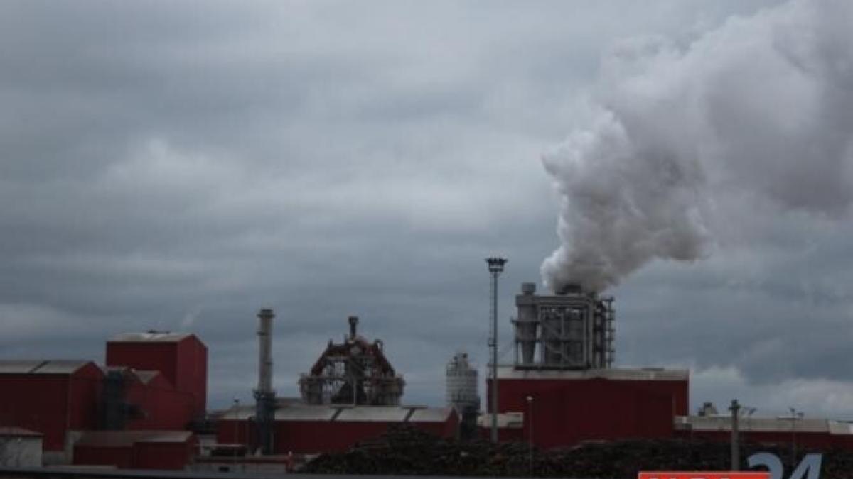 barbat-mort-pe-platforma-industriala-a-firmei-kronospan--in-urma-unui-accident-de-munca_71219800