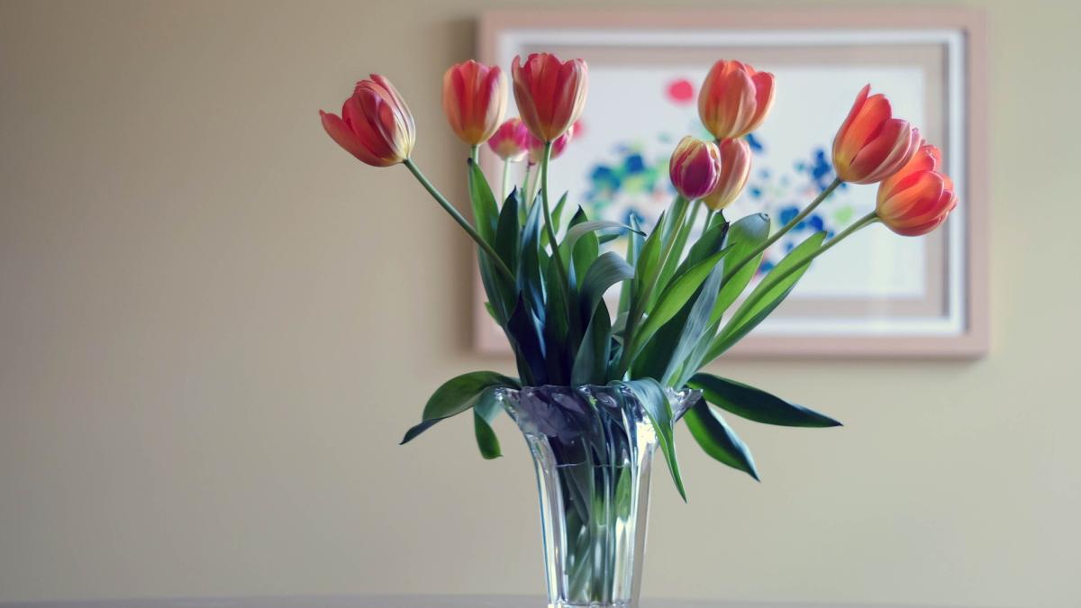 cum-faci-sa-reziste-florile-mai-mult-in-vaza--trucuri-simple-si-eficiente-1_11920400