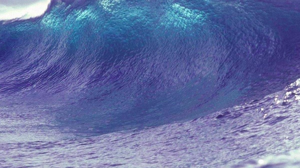 cutremur_noua_zeelanda_34104600