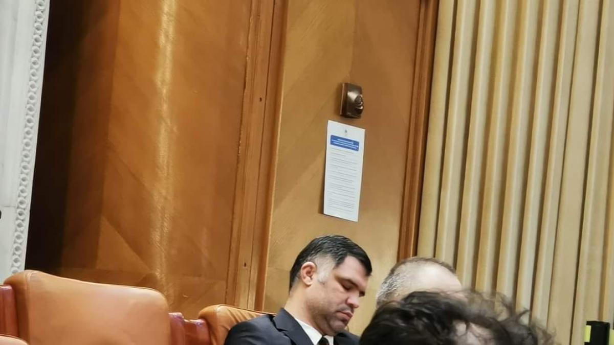 havarneanu_ghita_somn_parlament_amenintari_fb_81648500