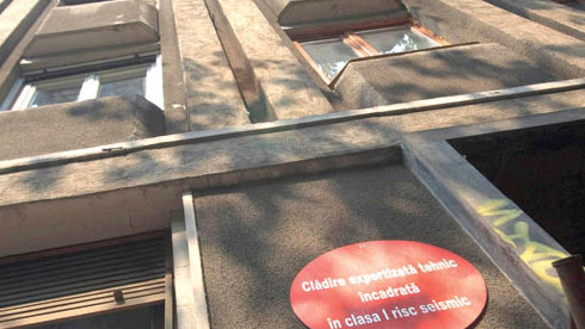 bulina-rosie_02896000