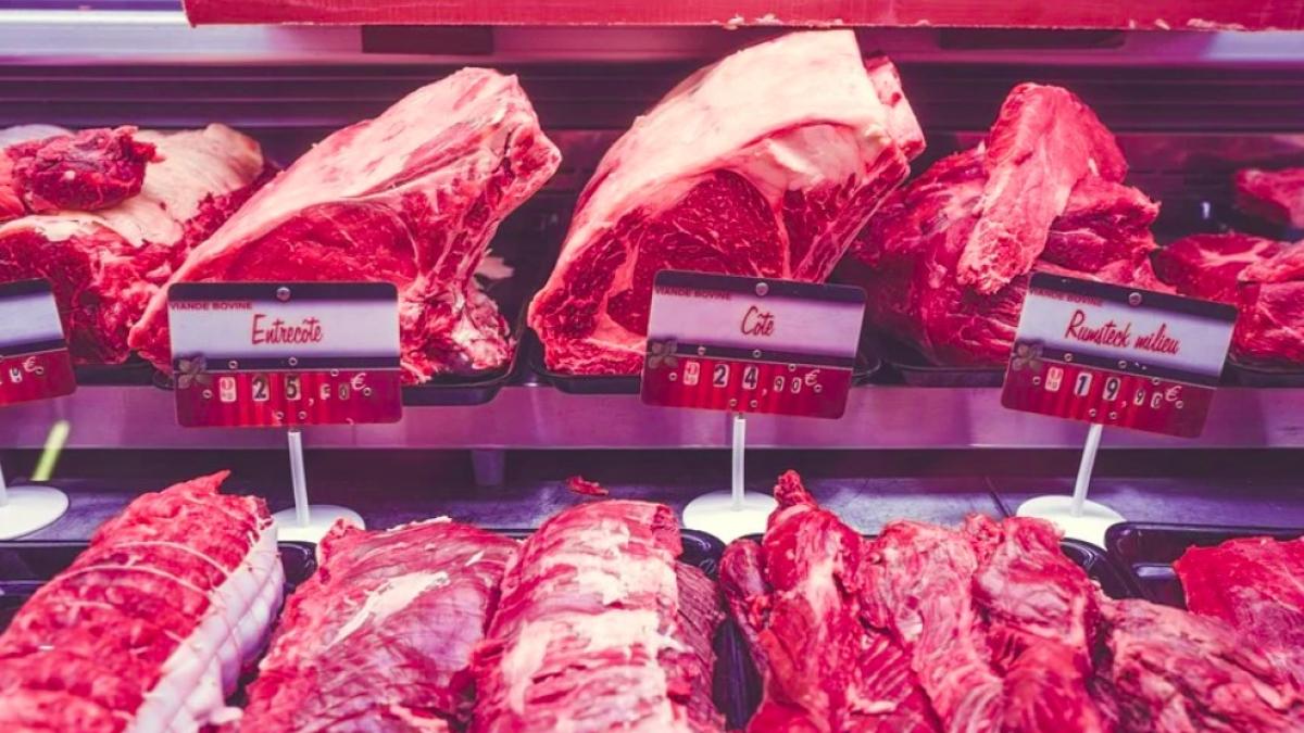 carne_supermarket_casino_vita_98960100