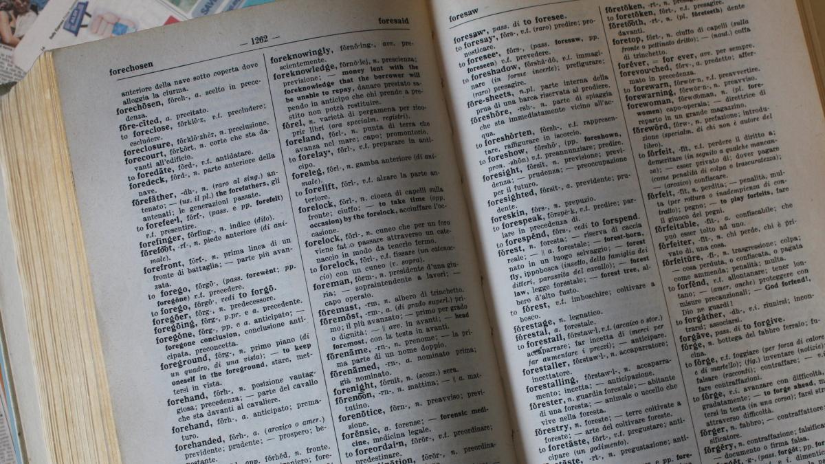 dictionar_italia_ilustrativ_97326600