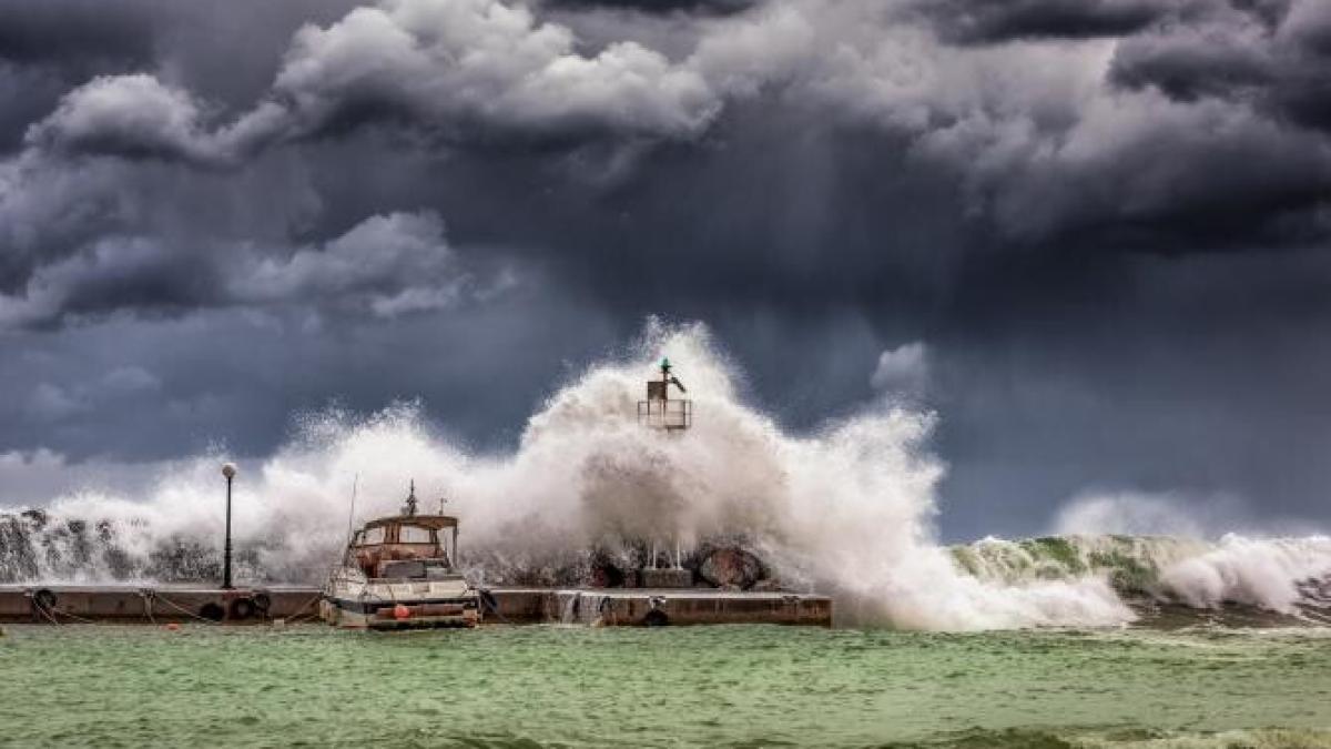 tsunami-japonia-10-ani-cadavru_71280600