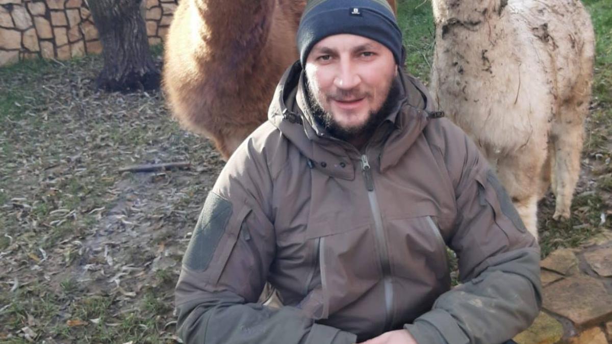 godina-cristea-enache-daniel_39149200