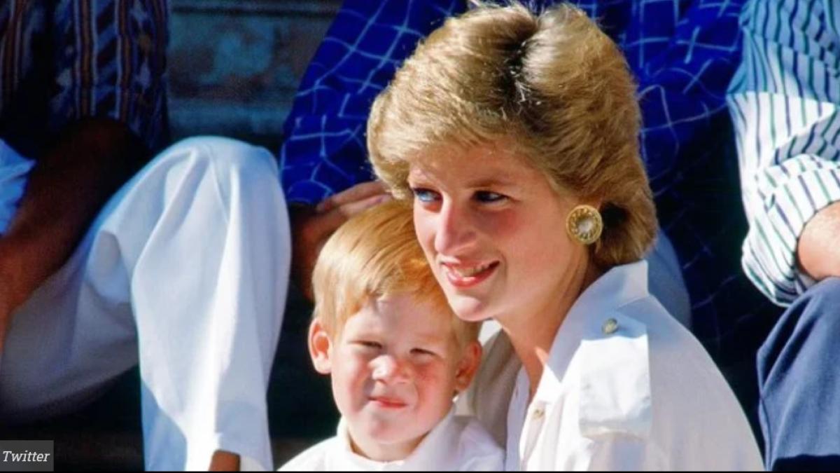 printesa-diana_81370600