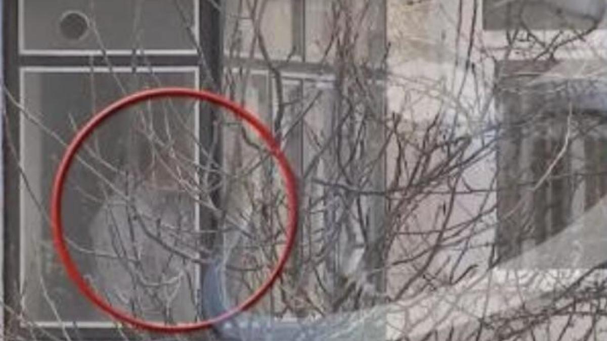 crima-onesti-morosan_19159400