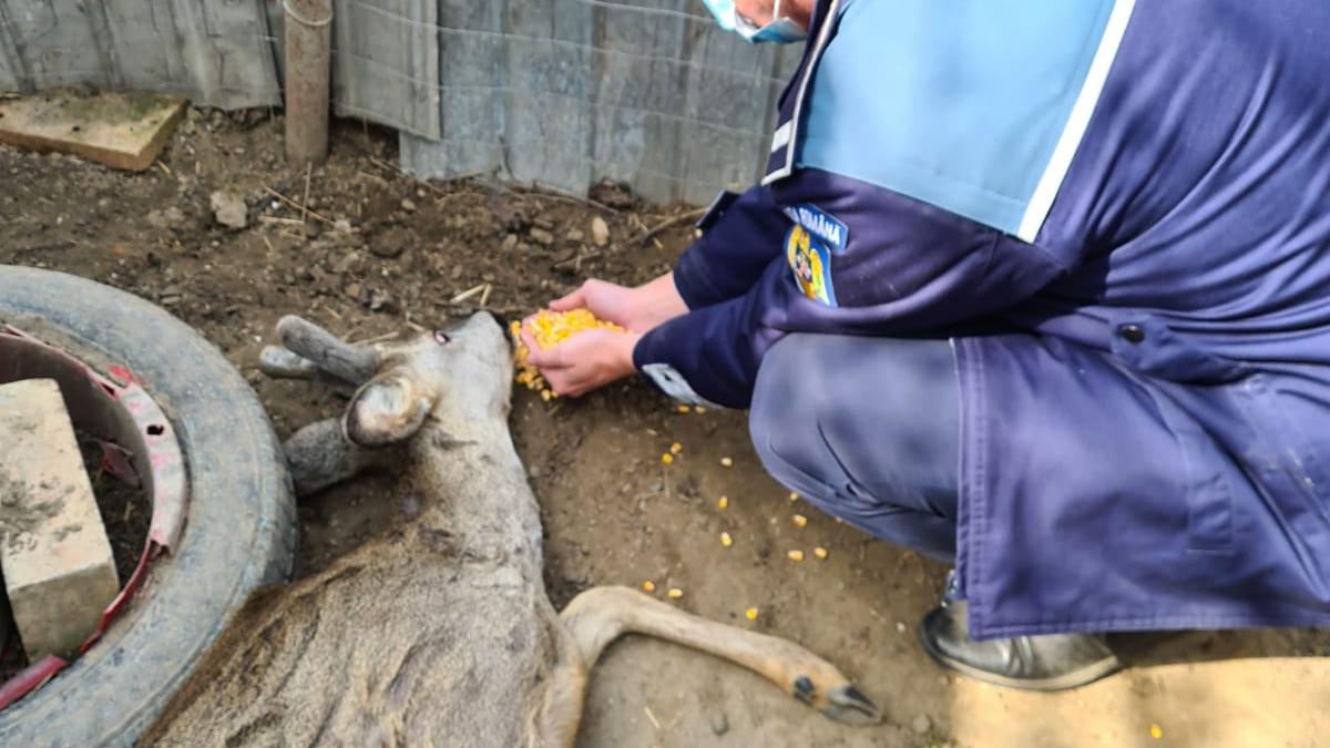 caprc-ccprc-86prioaraprc-ccprc-86-salvataprc-ccprc-86-dupaprc-ccprc-86-ce-a-intrat-iprc-ccprc-82n-mai-multe-gospodaprc-ccprc-86rii-sprc-ccprc-a6i-s-a-raprc-ccprc-86nit_05588900