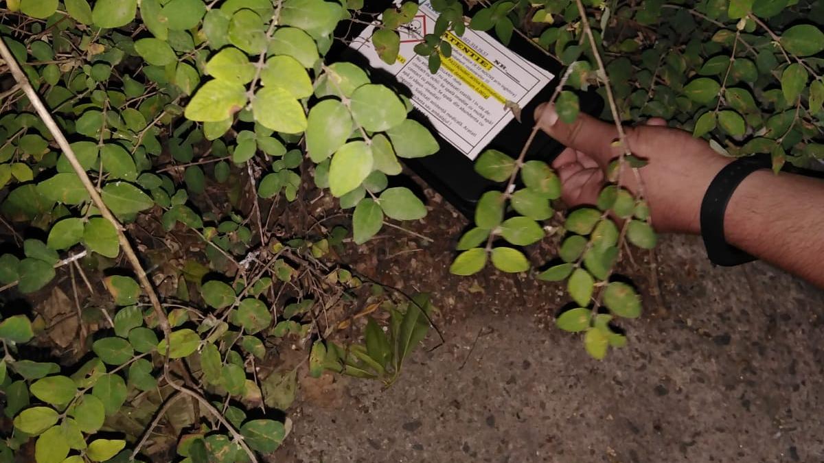 momeli-toxice-amplasate-iprc-ccprc-82n-parcuri--promenade--avertismentul-autoritaprc-ccprc-86tprc-ccprc-a6ilor_60892300